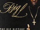 Big L - The Big Picture (1974 - 1999) '00 2xLP US ORG  DJ Premier Lord Finesse