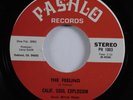 Funk 45 CALIFORNIA SOUL EXPLOSION The Feeling PASHLO NM HEAR