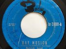 PATRICK JUVET • hay musica • RARE 45 • PROMO • NICARAGUA PRESS • 1973