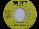 Funk Sweet Soul 45 DANI RAYE & NATURE'S WAY Try Something New MO-CITY HEAR