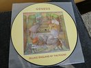 Genesis Selling England By The Pound  PICTURE VINYL LP Firstpress 1974