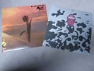 The Pretty Things - S.F. Sorrow + Parachute, 2 LP´s