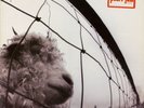 lp 33 Pearl Jam ?Vs Epic ?474549 1 eu 1993 gatefold