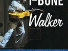 T-bone Walker - Call It Stormy Monday Vinyl LP Cleopatra NEW