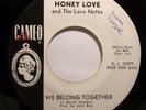 Soul 45 - Honey Love & Love Notes - We Belong Together - Vg+++ promo