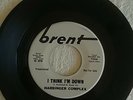 Harbinger Complex 'I Think I'm Down/My Dear And Kind Sir' 1967 Garage 45 promo