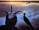Roxy Music - Avalon