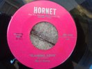 Doo Wop Rockabilly 45 Daryl Petty Flaming Love 