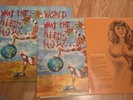 Public Image Limited - What the World Needs Now 2lp Vinyl