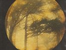 GOLDEN VOID - Berkana      LP     NEU