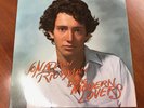 JONATHAN RICHMAN AND THE MODERN LOVERS S/T 1976 USA LP BESERKLEY RARE