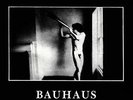 BAUHAUS-IN THE FLAT FIELD (BROZ) VINYL LP NEW