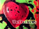 The Breeders - The Last Splash