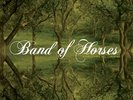 BAND OF HORSES - EVERYTHING ALL THE TIME