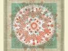 Trampled by Turtles - Life Is Good on the Open Road