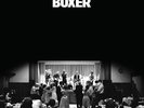 Beggars Banquet - Boxer