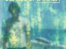 Campire Headphase, The - Boards Of Canada - Rock & Pop Music Vinyl