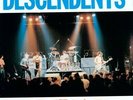 Liveage - Descendents - Rock & Pop Music Vinyl