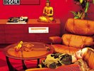 MORCHEEBA - BIG CALM NEW VINYL