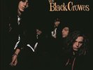 THE BLACK CROWES - SHAKE YOUR MONEY MAKER NEW VINYL RECORD