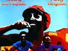 LP TOOTS AND THE MAYTALS FUNKY KINGSTON VINYL REGGAE JAMAICA