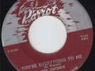 THE ORCHIDS - YOU'RE EVERYTHING TO ME (PARROT 815) KILLER  NOT A REPRO