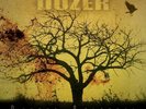 DOZER - beyond colossal