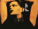 Lou Reed - Rock N' Roll Animal