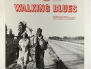V/A - Walking Blues LP - Flyright UK VG+