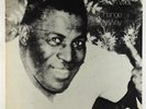 Howlin' Wolf - Change My Way LP - Chess Vintage Series VG+