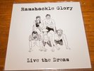 Ramshackle Glory  Live the Dream LP First Press 2012 Record rare folk punk vinyl