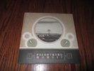 Frightened Rabbit Nothing Like You/Learned Your Name Vinyl 7