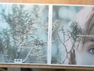 MELISSA ETHERIDGE LP + 7