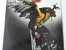Budgie - In For the Kill Vinyl UK Late 70's/80's Press A-1/B-1