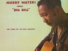 Muddy Waters - Sings Big Bill Broonzy