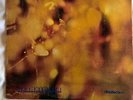 STEAMHAMMER REFLECTION VINYL ALBUM RARE UK FIRST PRESSING G/F 1969 CBS VG/VG