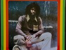 ERROL FLABBA HOLT Roots Radics Dub NEW LP - Reissue of 1980 KING TUBBY Classic