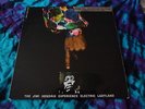 JIMI HENDRIX EXPERIENCE THE 