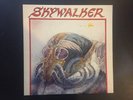 Skywalker High Flyer Rare Private Press Chicago IL LP Hard Rock