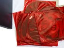 Lady GaGa - Born This Way Limited Edition Black Box Vinyl Picture Disc Set