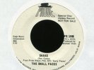 THE SMALL FACES Shake on Pride Promo Mod Rock 45 Hear
