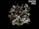 Avarice [EP] by Throwing Snow.