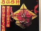 Kate Bush Wuthering Heights 7” Picture Sleeve Demo Copy MINT EMI 2719