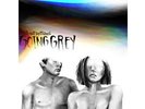 The Front Bottoms - Going Grey Vinyl LP
