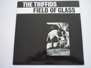 The Triffids - Field of Glass - 1984 Live Vinyl