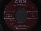 NOBLETONES: I'm Really Too Young / I Love You 45 (lbl scrapes, plays clean)