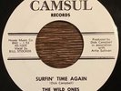 The Wild Ones - Number One Girl / Surfin' Time Again 45 RARE Surf Teener CAMSUL