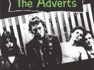 Adverts ?-The 1977 Basement Demo 7