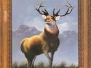 Killdozer Twelve Point Buck NEAR MINT Touch and Go Vinyl LP