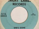 Garage Psych 45 THE BLUES COMPANY Shes Gone GREAT LAKES Experiment In Color HEAR